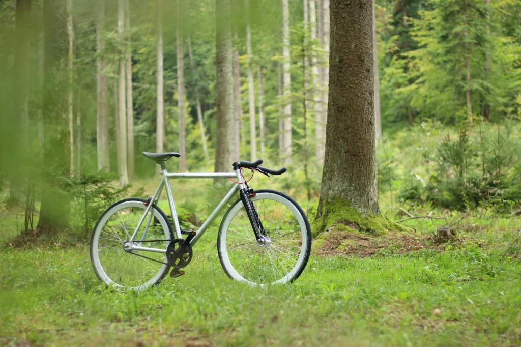 vélo dans la forêt